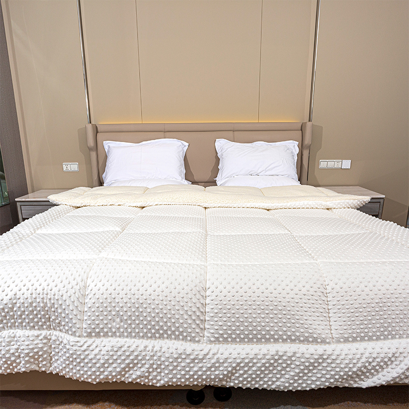 Minky Dots Lamb Fleece Comforter, kaksinkertainen kangas erittäin pehmeä lämmin pussilaketti paksu lämmin talvipeitto ylellinen pörröinen fleece talvipeite